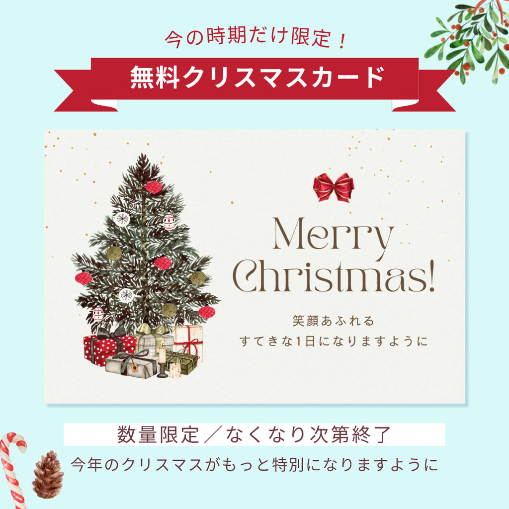 【予約注文※12/10以降配達】doddl × EasyTots プレミアムギフトBOX【スペシャルラッピングver】